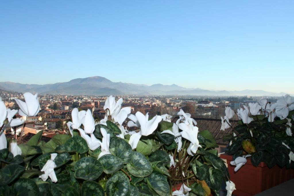 Casa Vacanza Fontana Del Delfino Bergamo Room photo
